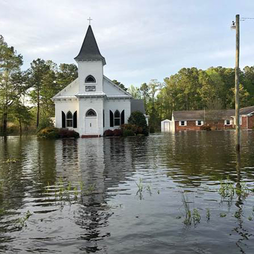 Small white church sits surrounded by water. In the foreground, the tops of plants stick out of the water.