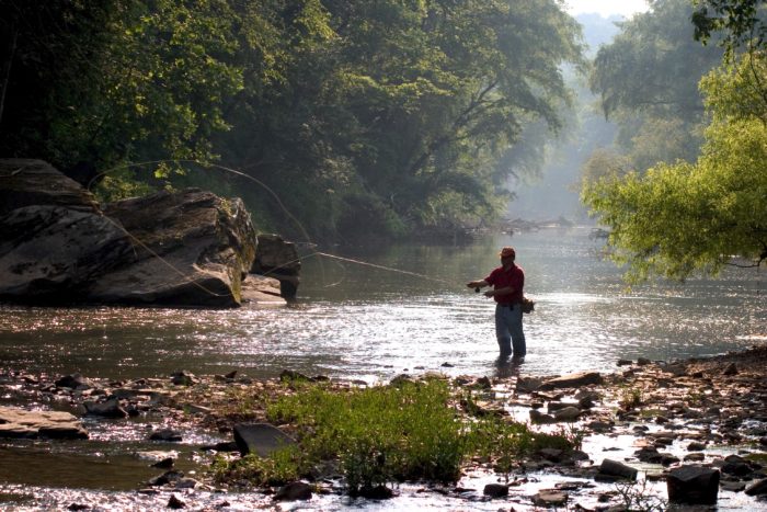 Person flyfishing on the upper Cahaba River in Alabama with trees and rocks around them.