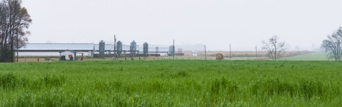 Large industrial barns are in the distance, with a hard gray sky above and a green field in the foreground.