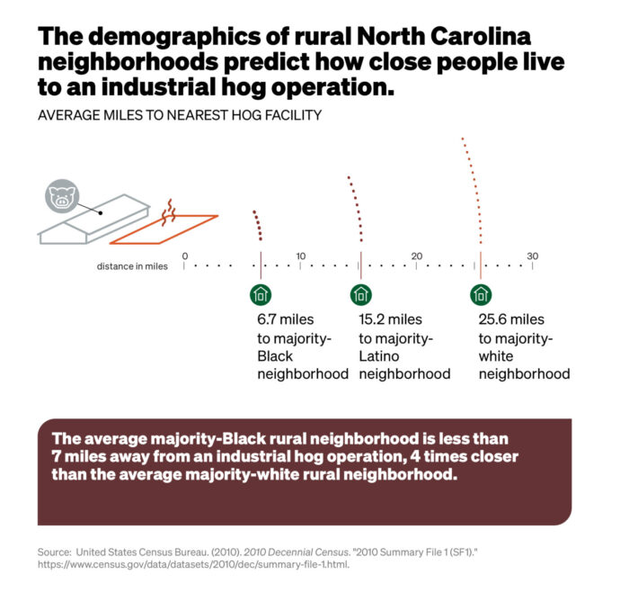 An infographic showing how the demographics of rural North Carolina neighborhoods predict how close people live to an industrial hog operation.
