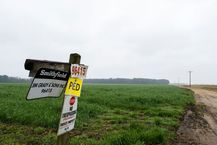 A sign post at the edge of a field includes signage for Smithfield Foods. 