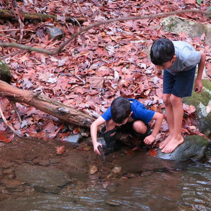 Two young kids play in a creek.