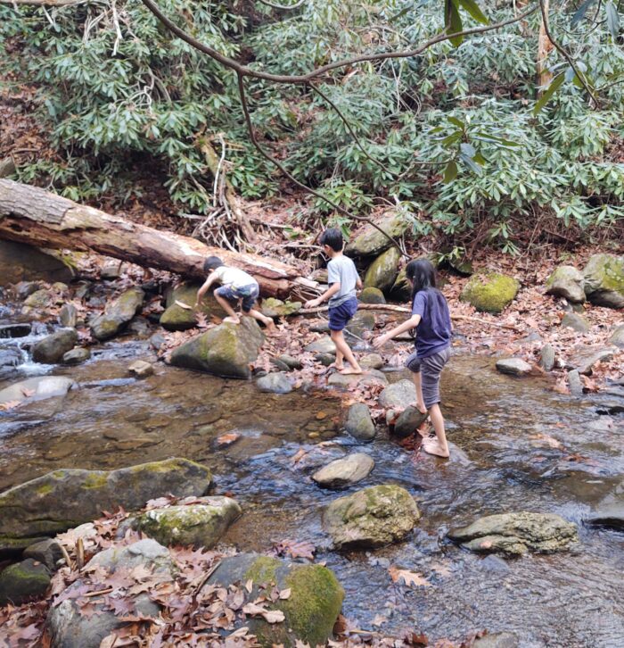 Three young kids play in a creek.