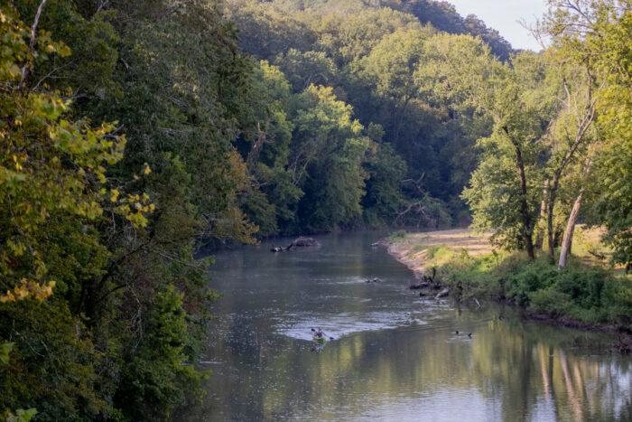 An overview shot of a kayaker paddling on the Harpeth River, surrounded by green foliage.
