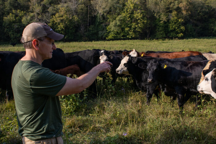 A farmer in dark-colored work clothes and a ball cap points toward a lush field of black and white cattle.